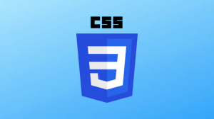 CSS